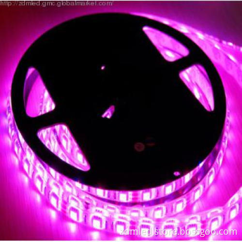 30LED/m IC 6803 LED Dream Color Flexible Strip for vehicle
